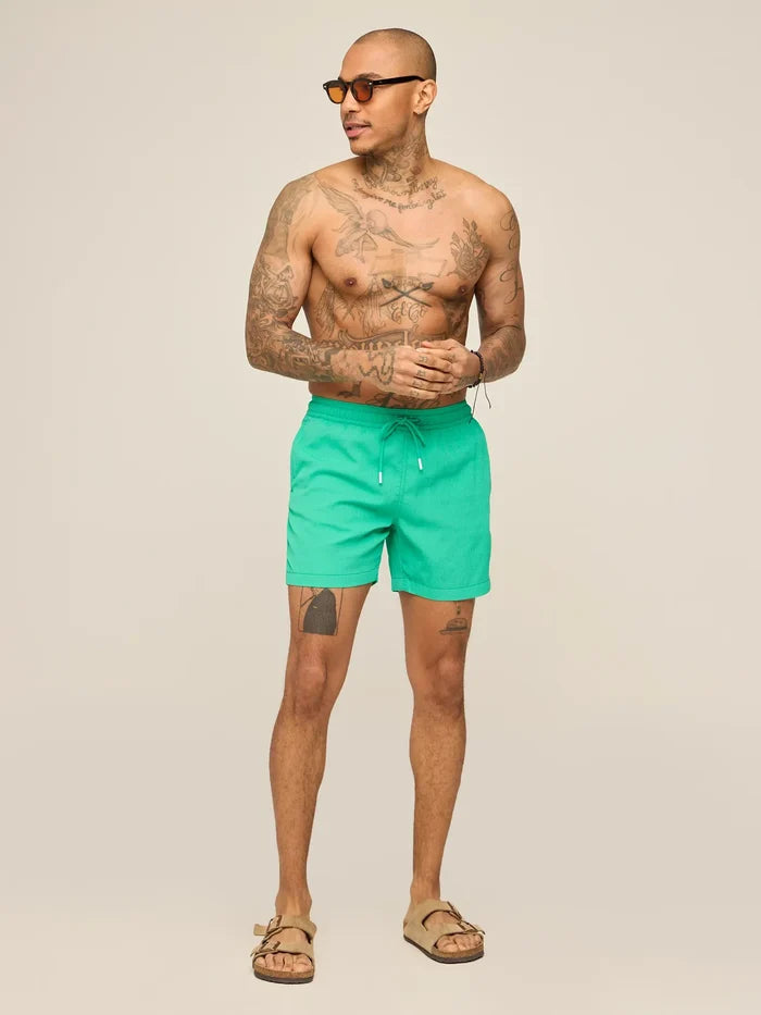 The Real Teals 5.5" (Textured Lined Swim) - Image 6 - Chubbies Shorts
