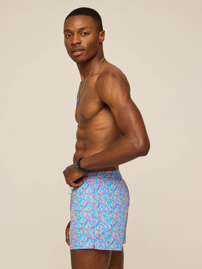 The Spades 4" (Classic Lined Swim Trunk) - Image 4 - Chubbies Shorts
