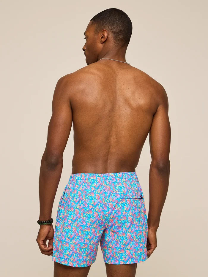 The Spades 5.5" (Classic Lined Swim Trunk) - Image 2 - Chubbies Shorts