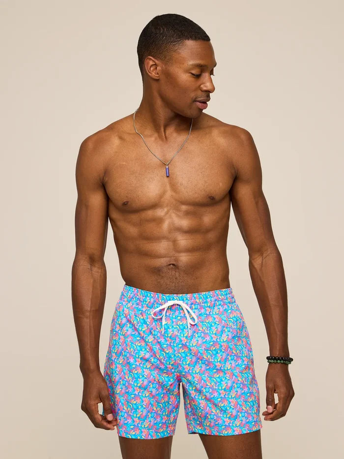 The Spades 5.5" (Classic Swim Trunk) - Image 4 - Chubbies Shorts
