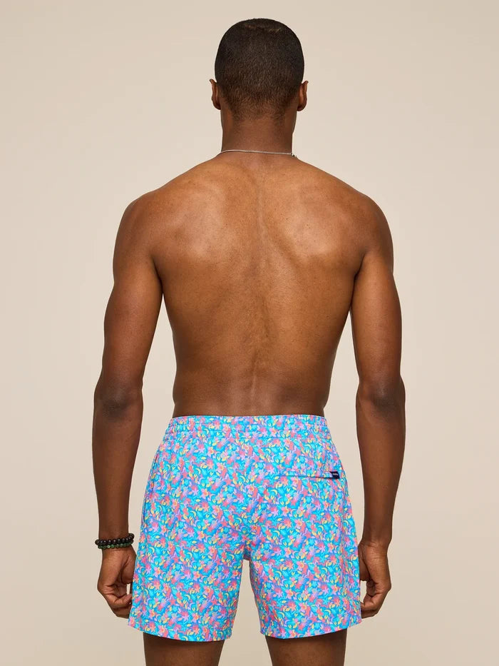 The Spades 5.5" (Classic Swim Trunk) - Image 5 - Chubbies Shorts