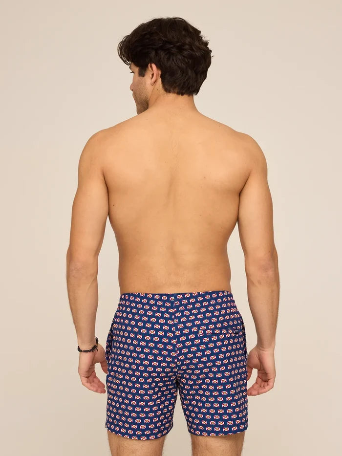 The Sunshine States 5.5" (Classic Lined Swim Trunk) - Image 9 - Chubbies Shorts