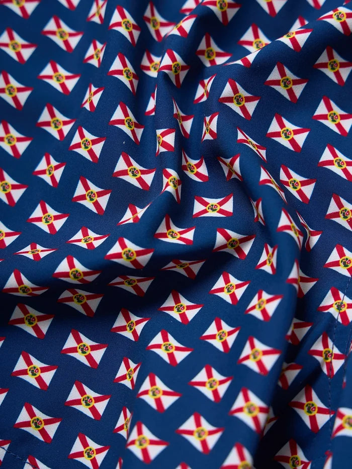 The Sunshine States 5.5" (Classic Lined Swim Trunk) - Image 2 - Chubbies Shorts