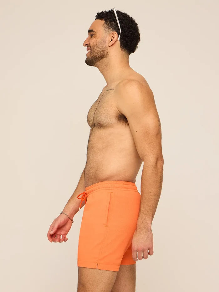 The Sweet Tea Spills 5.5" (Textured Lined Swim) - Image 3 - Chubbies Shorts
