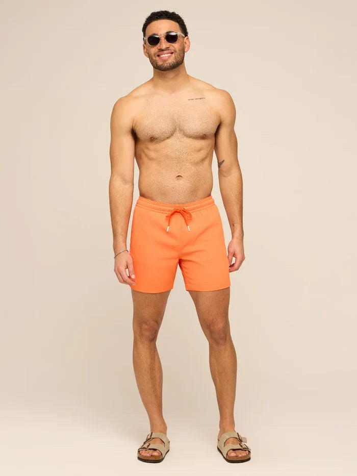 The Sweet Tea Spills 5.5" (Textured Lined Swim) - Image 5 - Chubbies Shorts