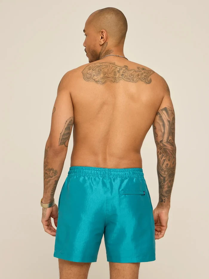 The Ultramarine 5.5" (Lined Metallic Swim) - Image 2 - Chubbies Shorts