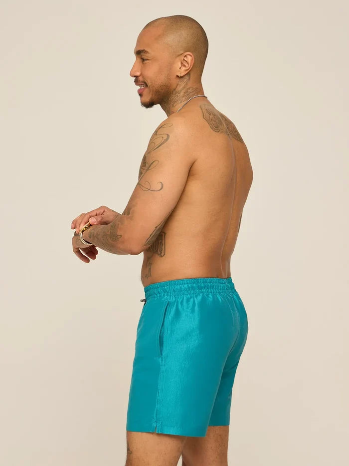 The Ultramarine 5.5" (Lined Metallic Swim) - Image 3 - Chubbies Shorts
