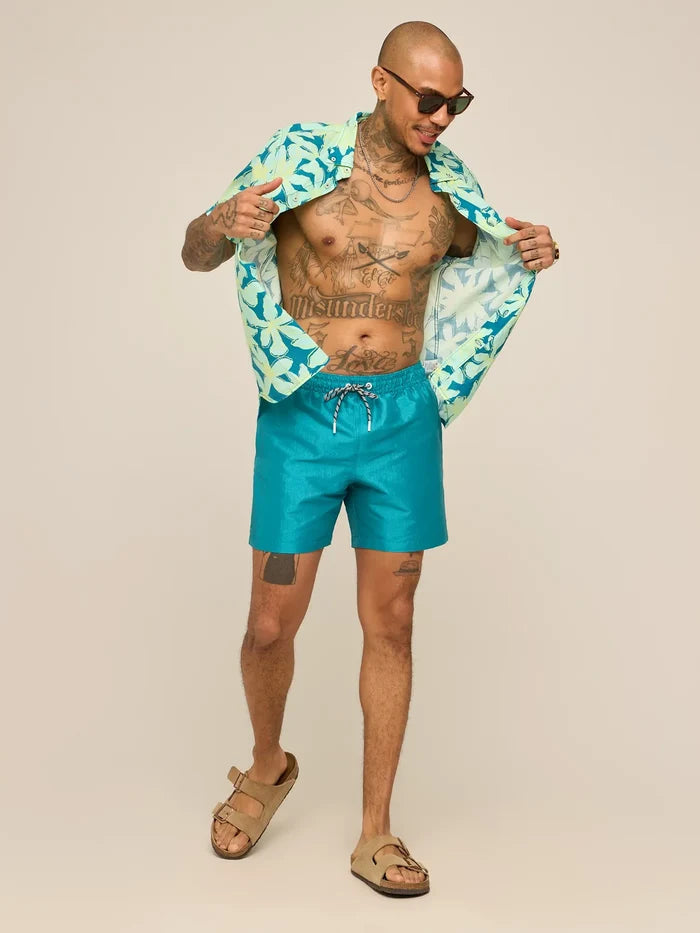 The Ultramarine 5.5" (Lined Metallic Swim) - Image 5 - Chubbies Shorts
