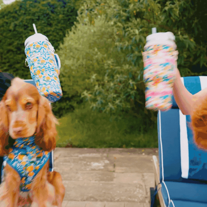 Hands hold a patterned yellow Coconut Lane tumbler carry case next to a dog in a floral bandana on a blue chair.