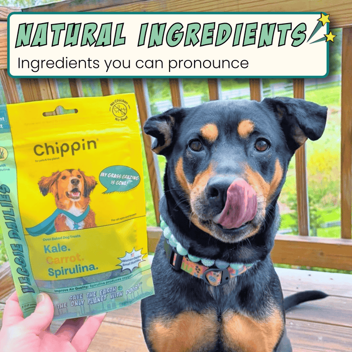Chippin 4 Pack Veggie Dailies with Spirulina, 4-Pack
