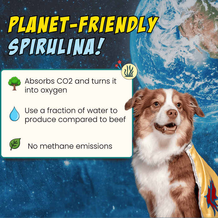 Chippin 4 Pack Veggie Dailies with Spirulina, 4-Pack