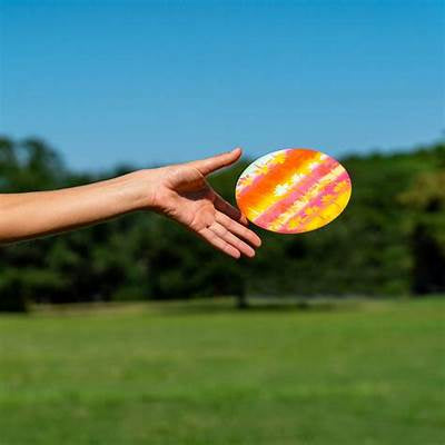 Waboba Flobo Classic Flying Disc