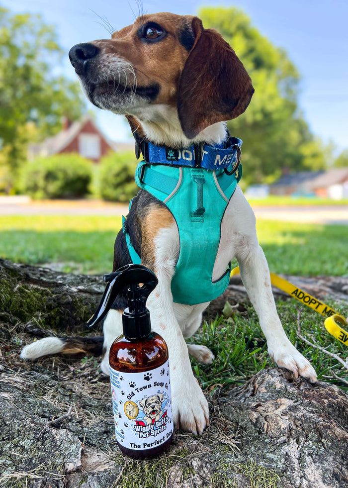 Wiggly Butt's Pet Spritz -The Perfect Dog Signature Scent - Old Town Soap Co.
